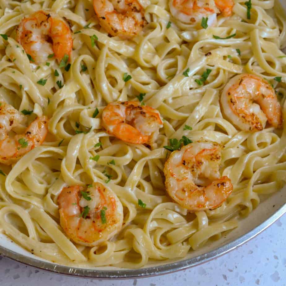 Shrimp Alfredo Pasta