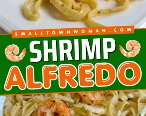 Shrimp Alfredo