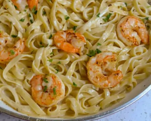 Shrimp Alfredo