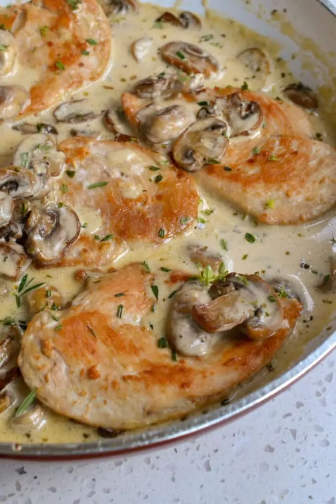 Browned chicken with mushrooms and cream sauce. 
