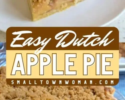 Dutch Apple Pie