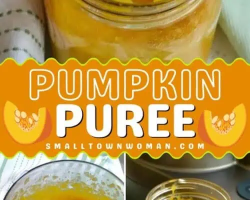 Pumpkin Puree