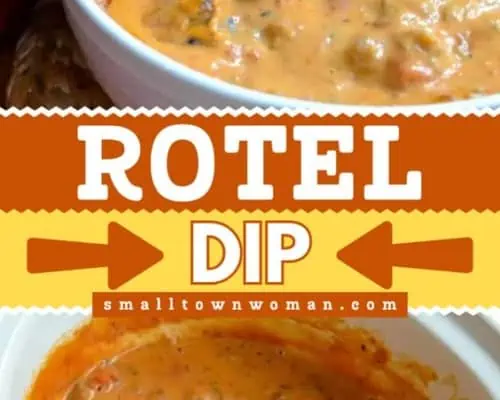 Rotel Dip