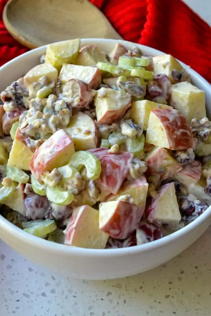 Apple salad with celery, grapes, pecans, and cranberries. 
