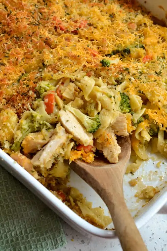 Chicken noodle casserole with broccoli, carrots, onion, and garlic. 
