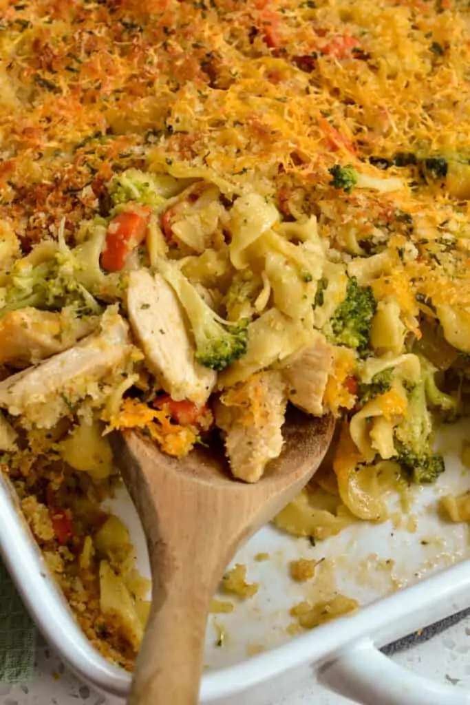 Baked chicken noodle casserole with cheese and breadcrumbs. 