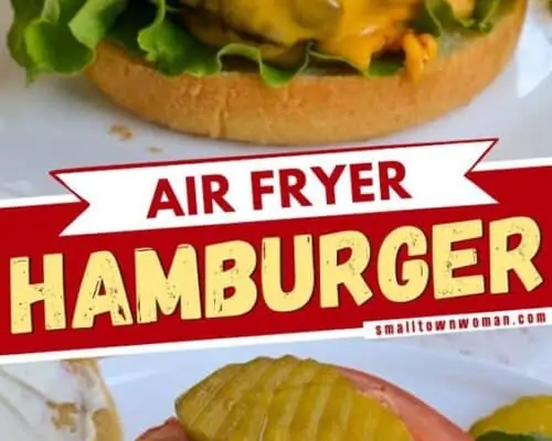 Air Fryer Burgers