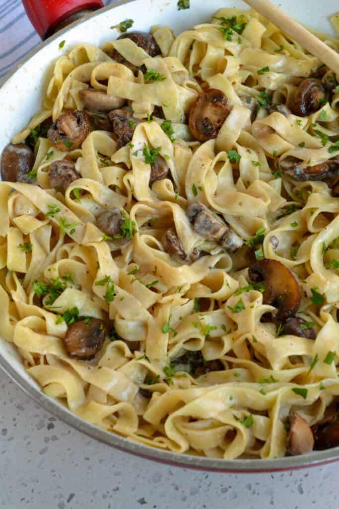 Mushroom Pasta