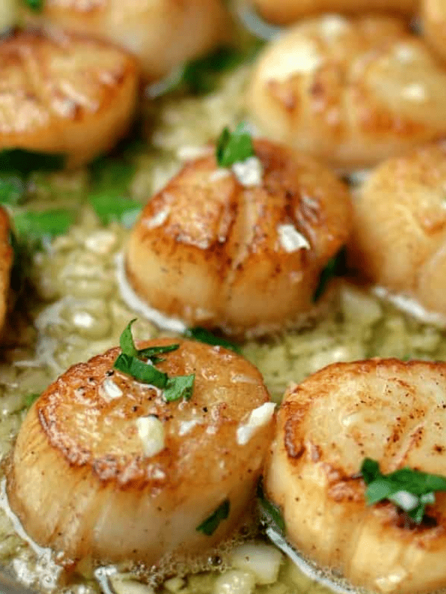 Garlic Lemon Butter Seared Scallops Small Town Woman