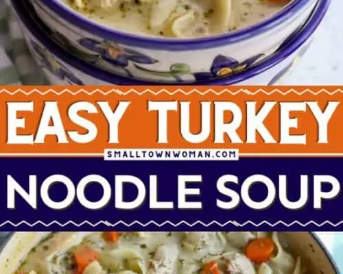 Turkey Noodle Soup