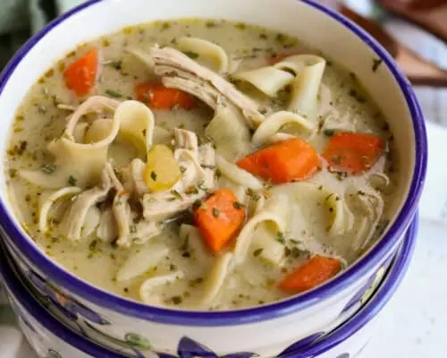 Turkey Noodle Soup