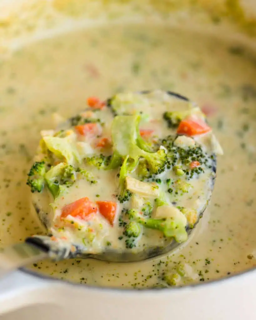 Broccoli Cheddar Soup