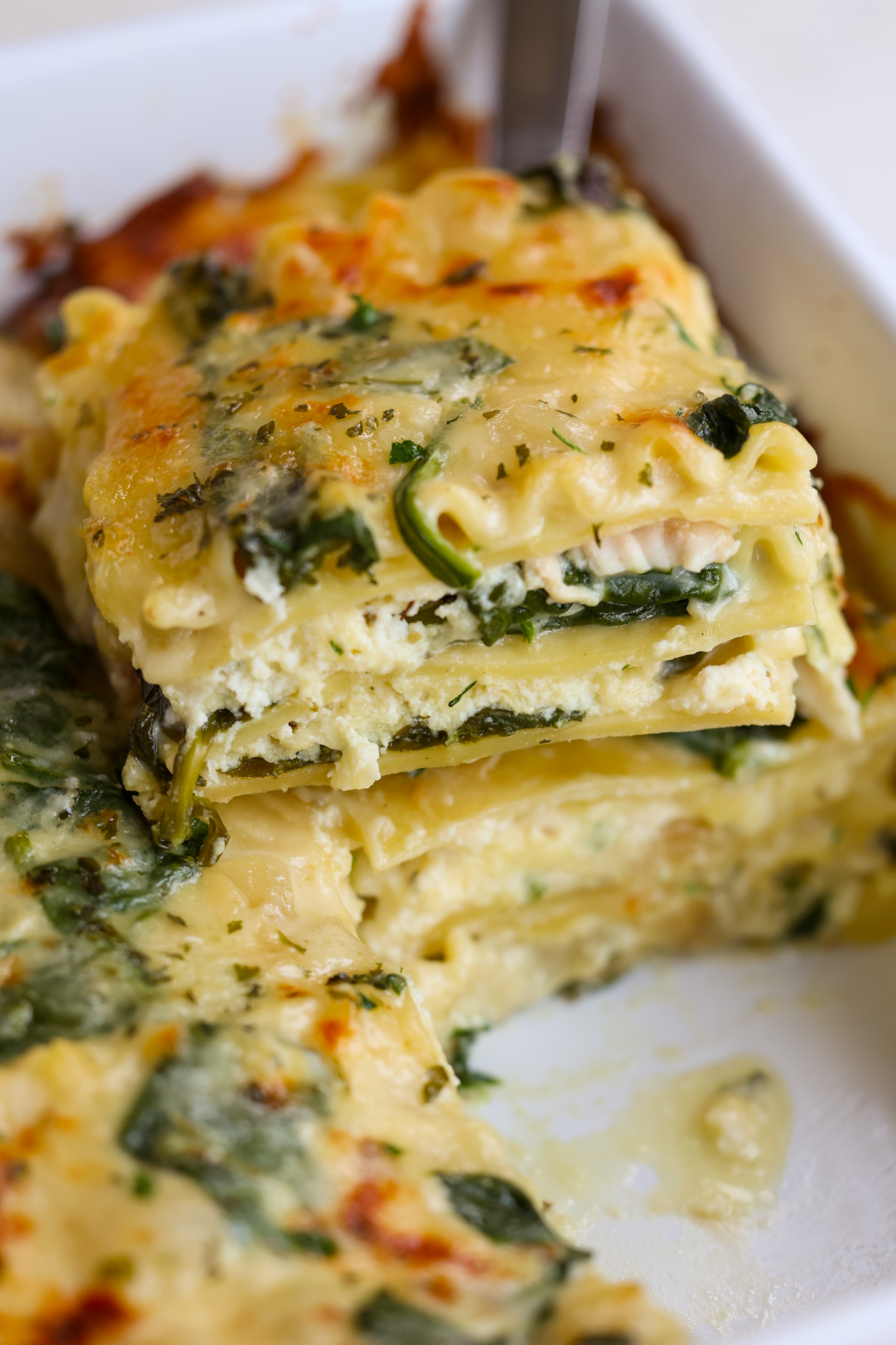 White Chicken Lasagna Recipe Small Town Woman