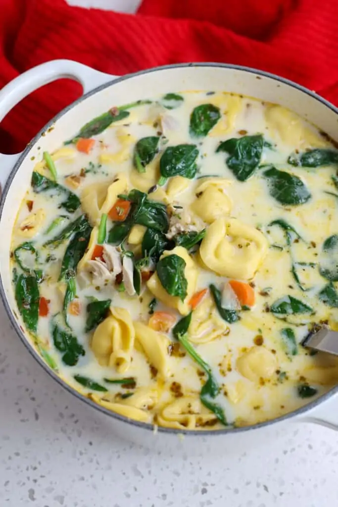A delicious creamy Chicken and Tortellini Soup with onions, carrots, and spinach. 