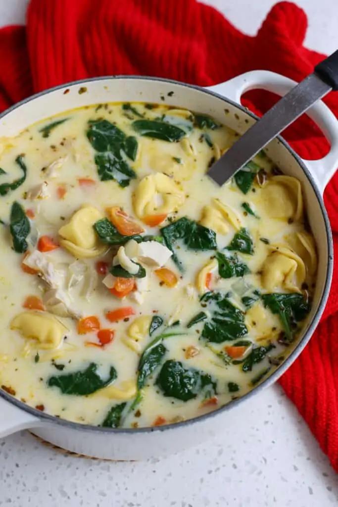 Warm cheese tortellini and chicken soup with fresh onions, spinach, carrots. and garlic. 