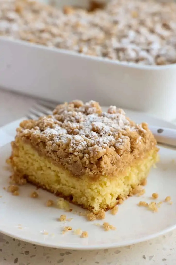 A piece of cinnamon crumb coffee cake. 