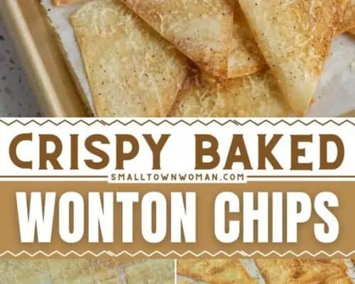 Baked Wonton Chips