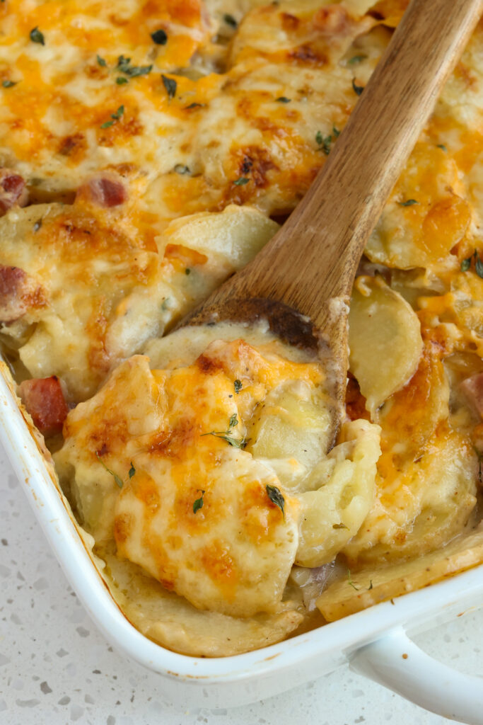 A spoon full of cheese creamy scalloped potatoes and smoked ham.  