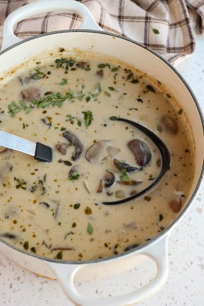 A ladle full of creamy mushroom soup. 
