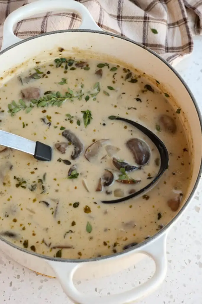 https://www.smalltownwoman.com/wp-content/uploads/2022/03/Mushroom-Soup-2-683x1024.webp