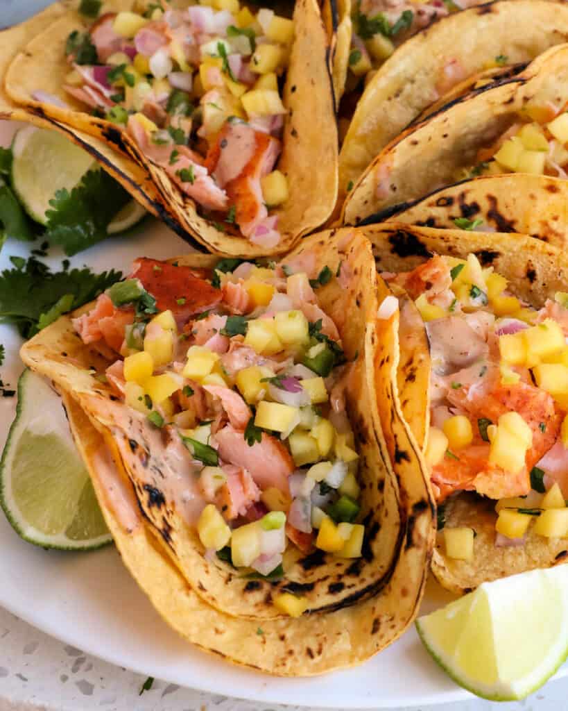 Salmon Tacos