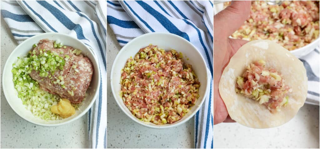 Some of the steps for making gyoza. Then in a large bowl combine the cabbage, ground pork, garlic, green onions, and grated ginger.  Gently combine with your hand.  Now holding a pot sticker wrapper in the palm of your hand. 