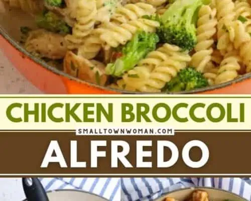 Chicken Broccoli Alfredo