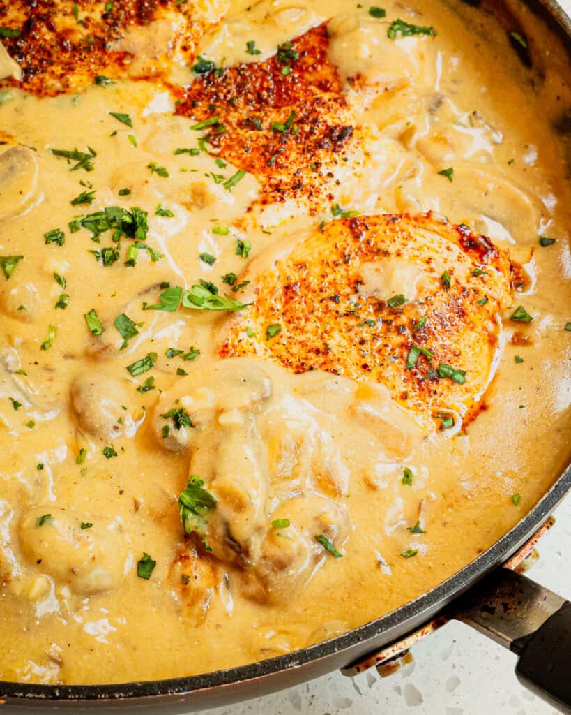 A close up view of chicken strogaoff in a large black skillet. 