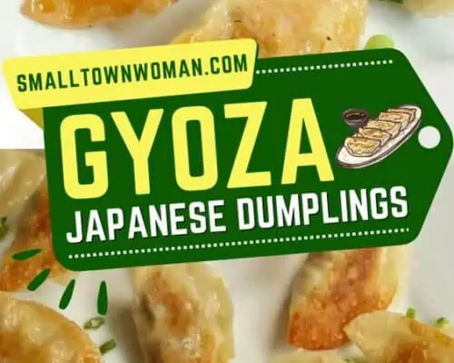 Gyoza