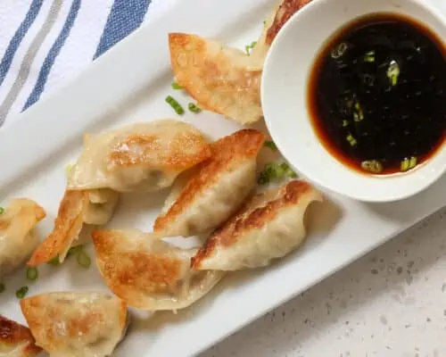Gyoza Japanese Dumpling