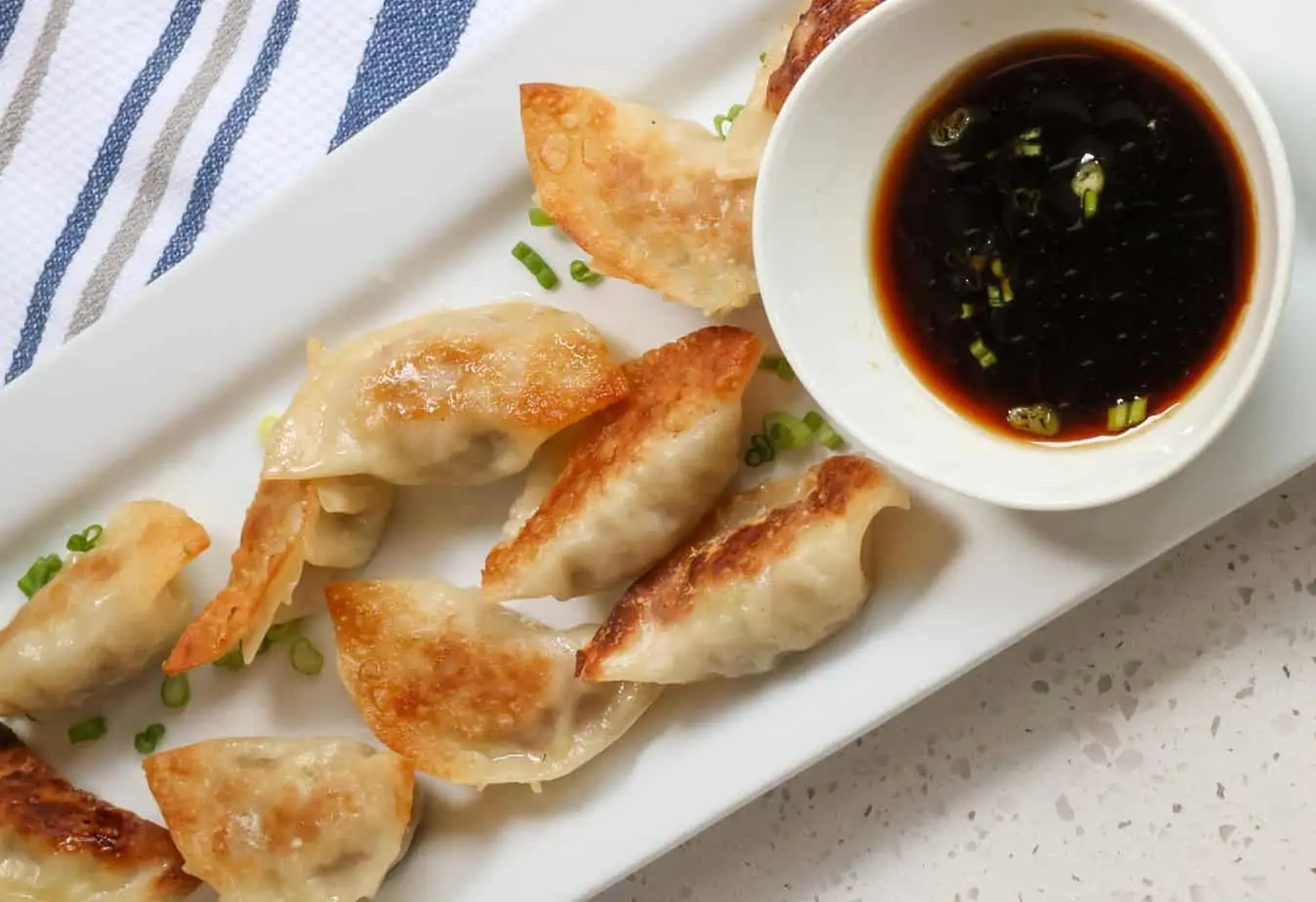 Gyoza Japanese Dumpling