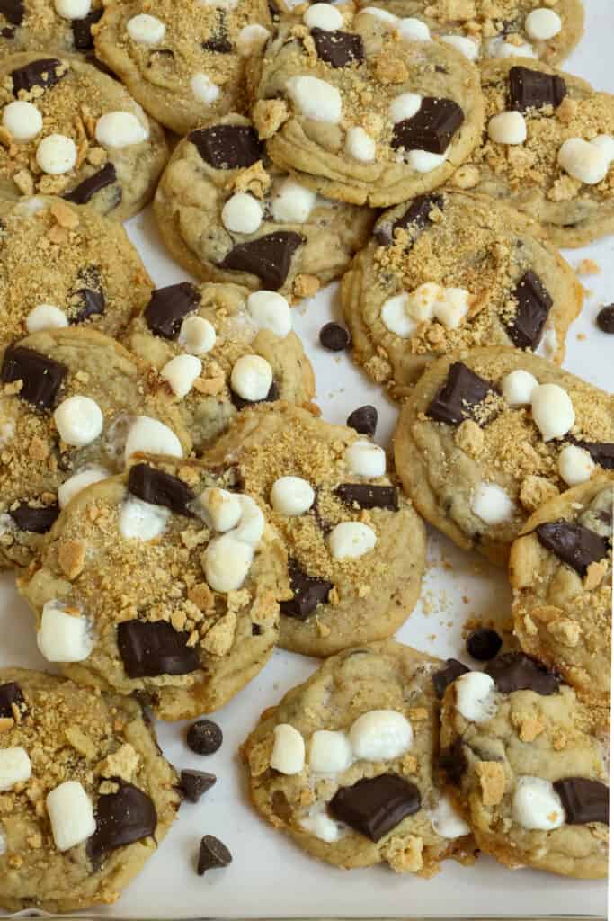Dotted with mini marshmallows, dark chocolate, and graham crackers they are sure to please all the s'mores lovers in your life.