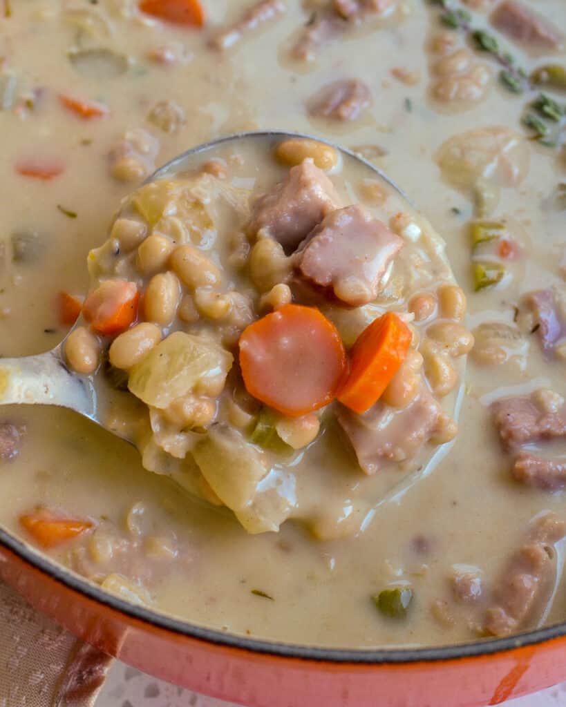 This mouthwatering good Ham and Bean soup is made easy with a simple ham steak and canned white beans.