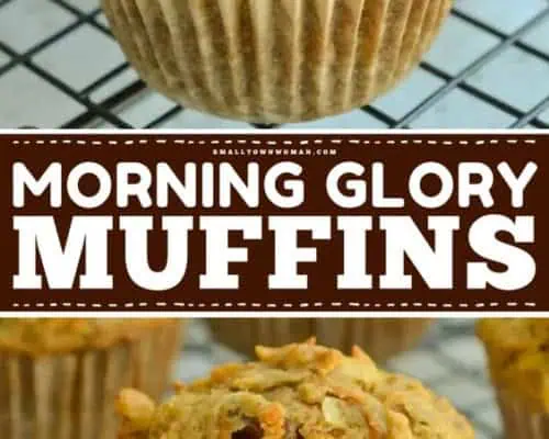 Morning Glory Mufins