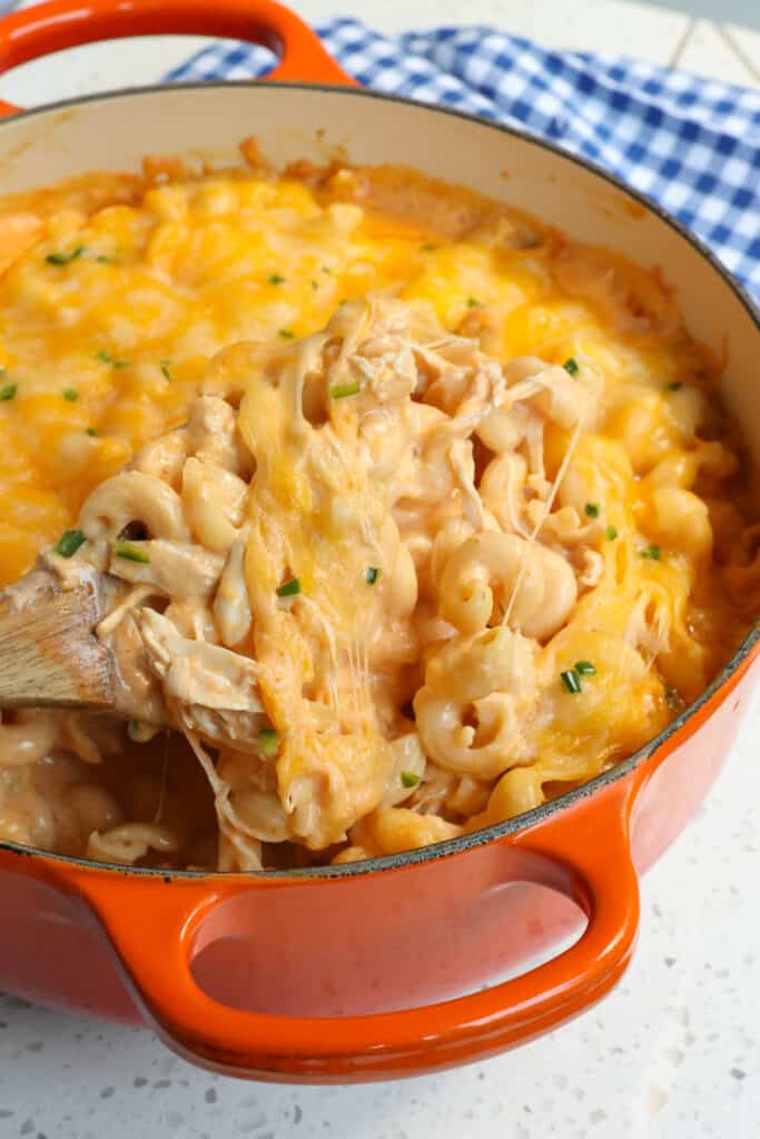A creamy cheesy Buffalo Chicken Pasta made with poached chicken, ranch dressing, buffalo sauce, onions, garlic, cream cheese, cheddar cheese, and Monterey Jack cheese.