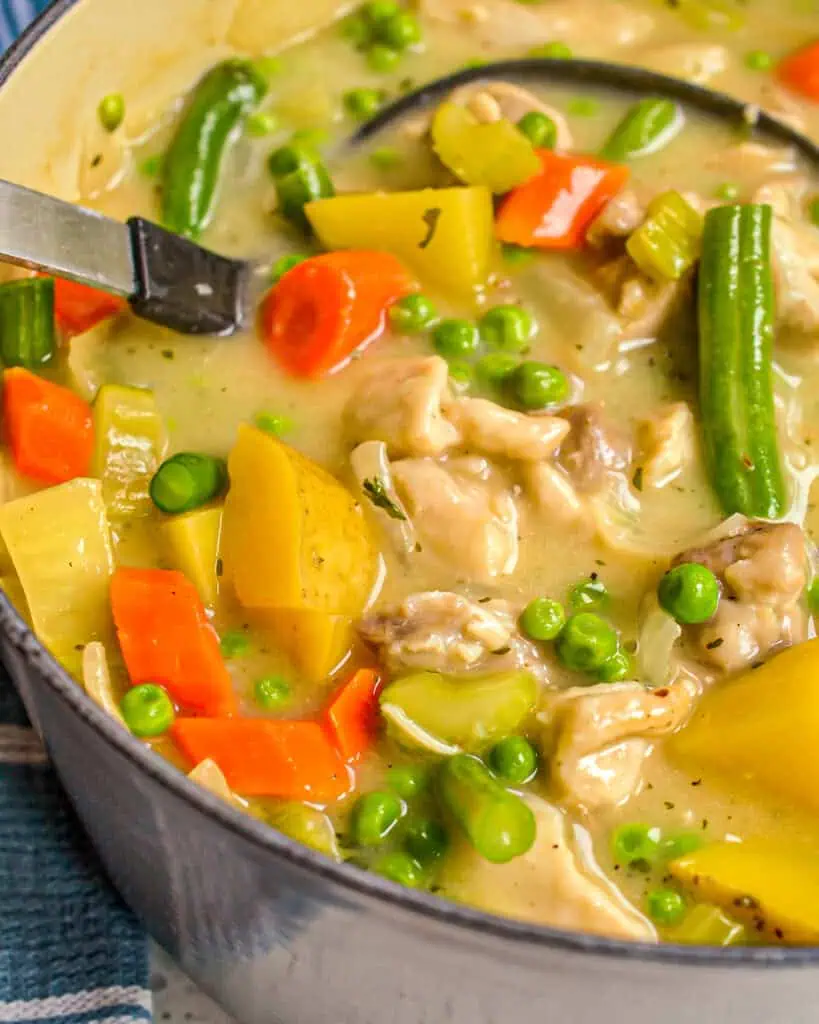 This easy Chicken Stew combines browned chicken thighs with onion, celery, carrots, potatoes, green beans, and peas in a rich creamy chicken broth that is perfectly seasoned
