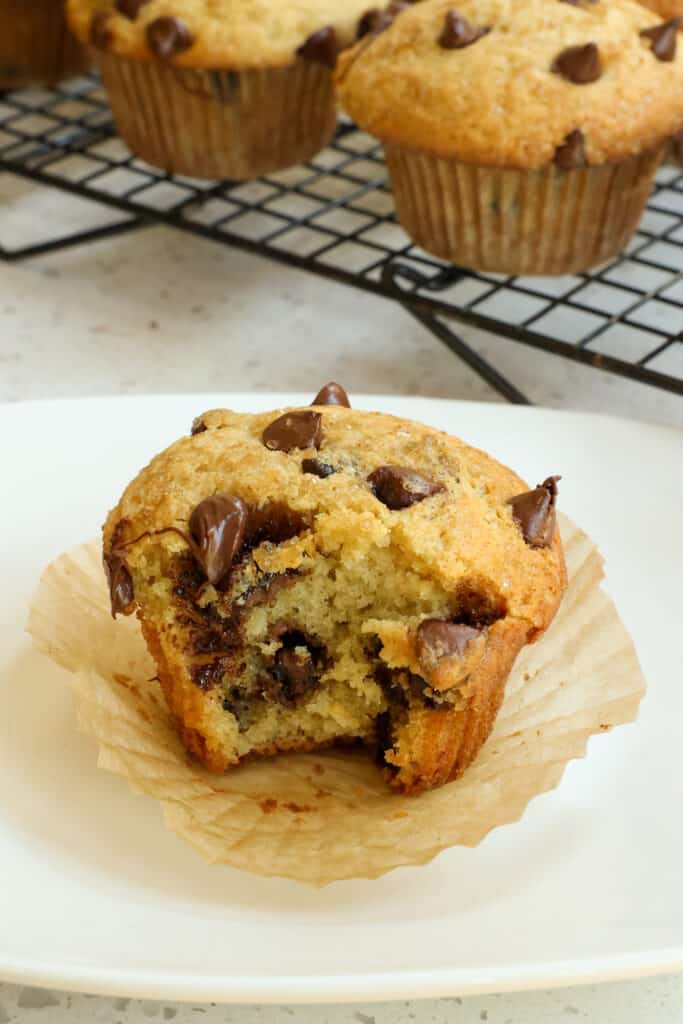 Moist bakery style Chocolate Chip Muffins with a touch of sour cream, semi-sweet chocolate chips, and a light coating of sugar on the top for a sweet crust with a just a touch of crunch. 