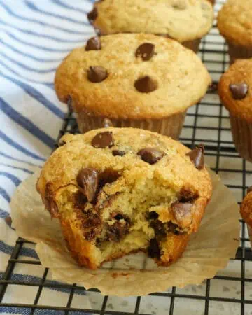 Chocolate Chip Muffins