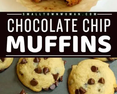 Chocolate Chip Muffins