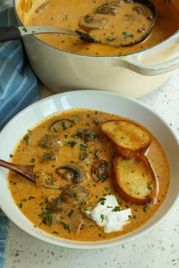 Garnish the soup with chopped fresh Italian parsley, a dollop of sour cream, crostini, chopped fresh dill, or simply sautéed mushrooms.