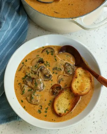 Hungarian Mushroom Soup