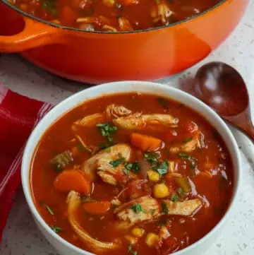 Mexican Chicken Soup