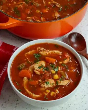 Mexican Chicken Soup