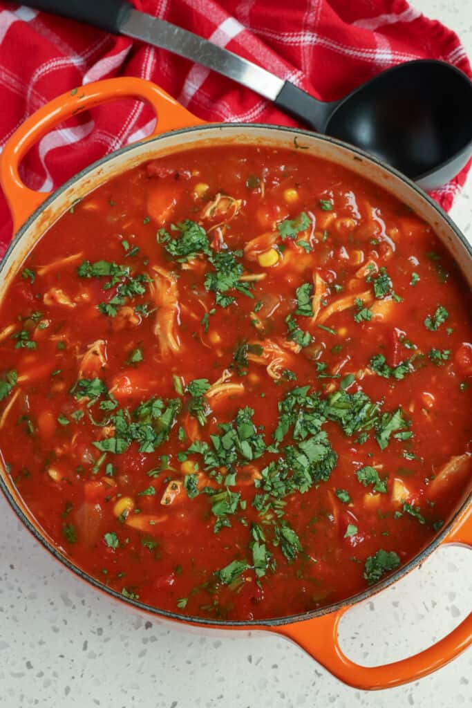How to make Mexican chicken soup