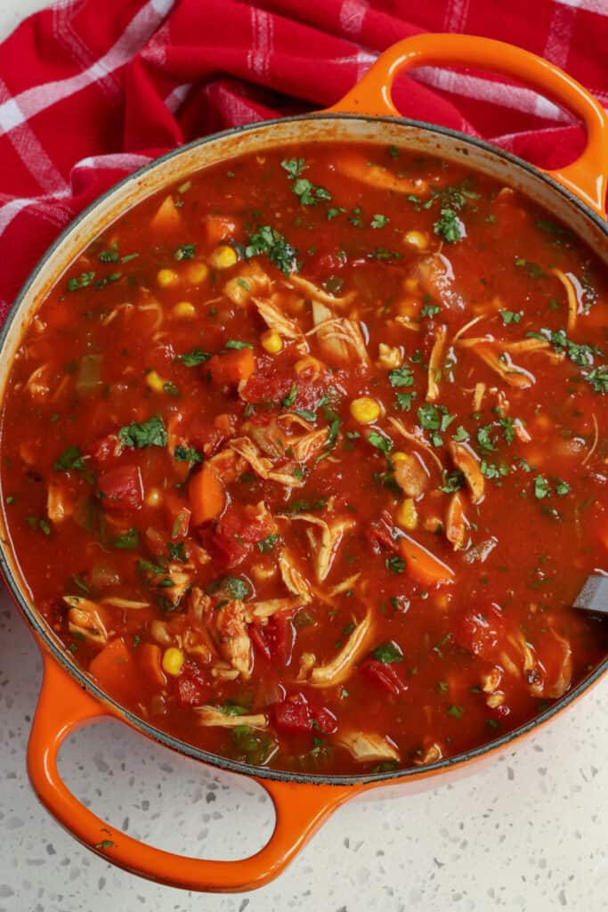 This quick and easy Mexican Chicken Soup is bursting with flavor from onions, carrots, celery, jalapenos, and tomatoes all in tomato based broth seasoned with cumin, paprika, cayenne, and fresh cilantro. 