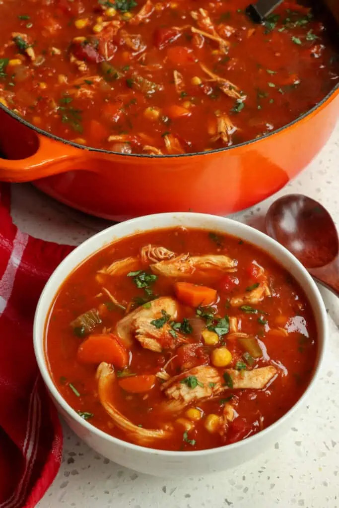 This tasty Mexican Chicken Soup is bursting with flavor from roasted chicken, veggies, and tomatoes in a rich broth seasoned with cumin, paprika, cayenne pepper, and cilantro.