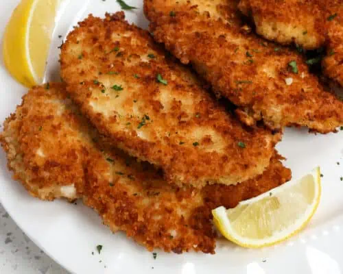 Chicken Schnitzel