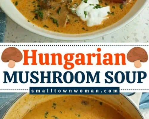 Hungarian Mushroom Soup - Small Town Woman