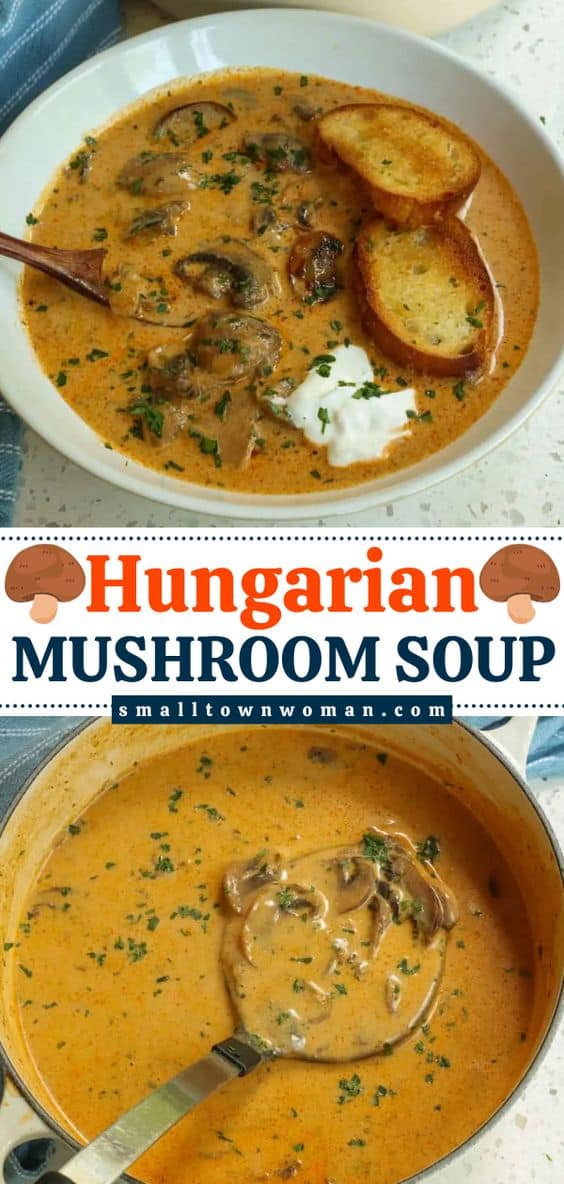Hungarian Mushroom Soup - Small Town Woman