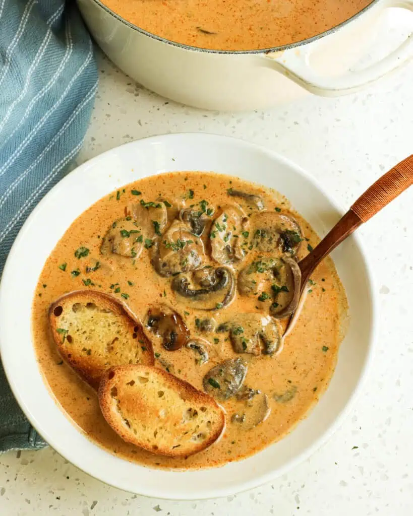 A bowl full of Hungarian mushroom soup with two crostini in it. 